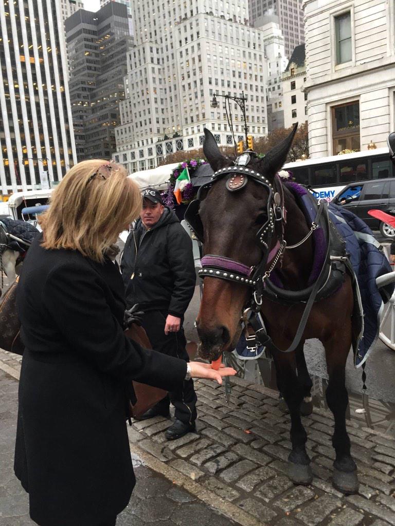 jksbrunner's tweet photo. NYC carriage ride is on everyone's bucket list!  Preserve this great tradition! #300jobs #KillBillsBill #CarriageOn http://t.co/kBL6AMU5X0