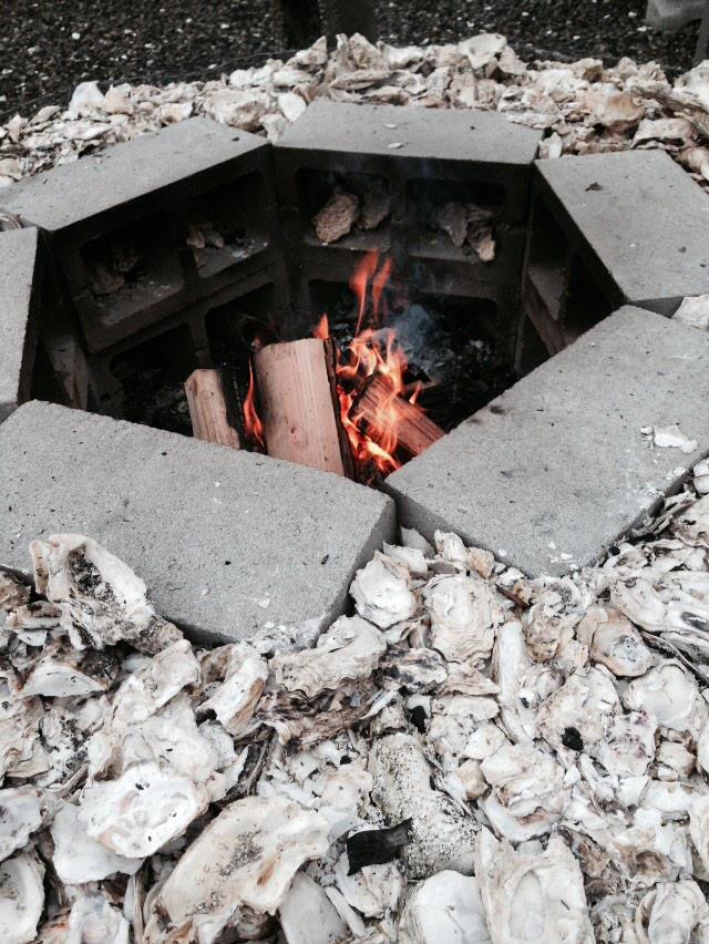 JillKranz's tweet photo. Such a great day of adventures! #treeday2014 #lenalake #hammahammaoysters #olympicpensula #SundayFunday http://t.co/nVyoUejllU