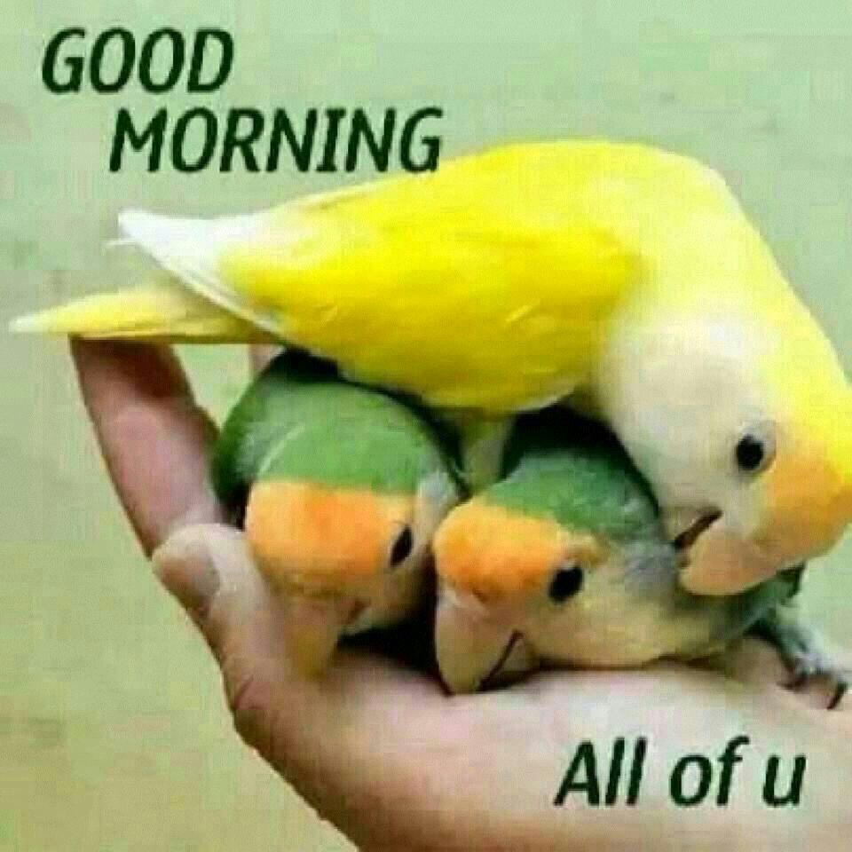 Dimplekhatri On Twitter Singh Naal Jodi Is A Good Song Http T Co Buuleeep7v twitter