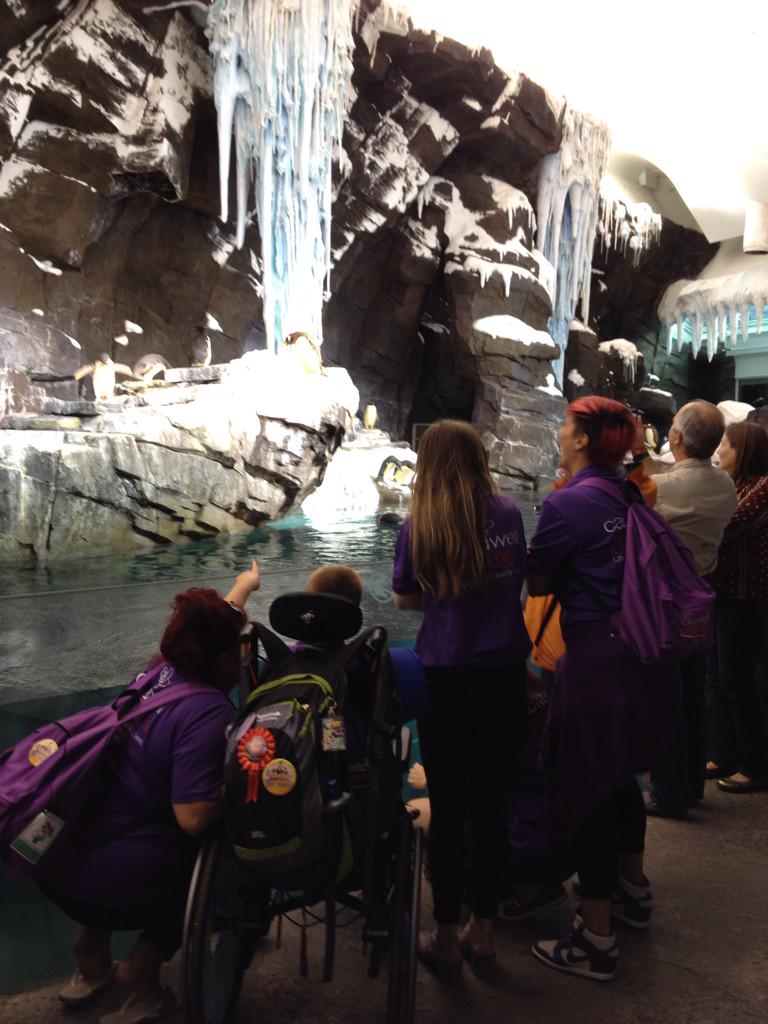 4_large's tweet photo. @caudwellkids #DD2014 #purplepeople #destinationdreams some more of Sea World fab day http://t.co/Lw1YrPRgIm