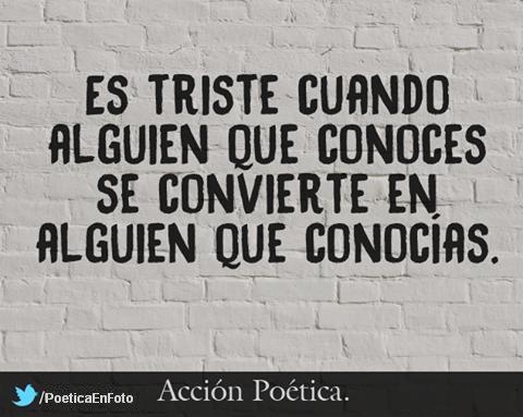 Patada De Mula ® (@patadademulamx) on Twitter photo 