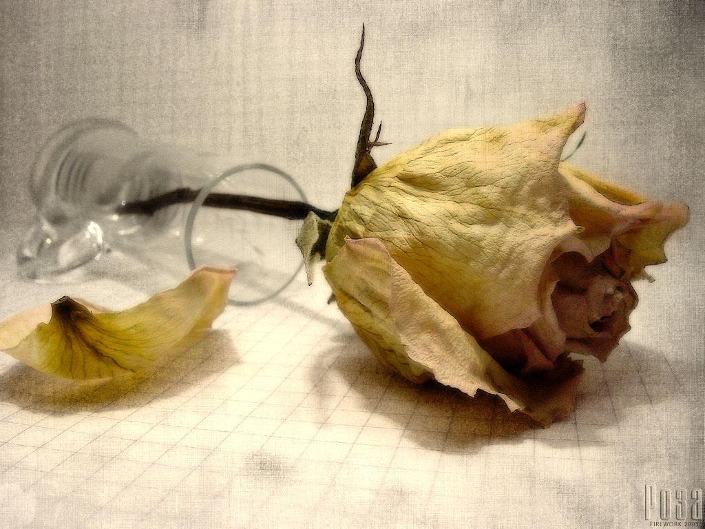 ejodewM tweet picture