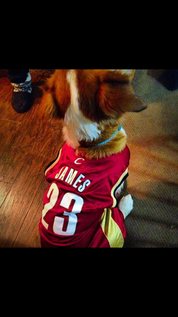erik_gebhardt's tweet photo. Let's go @cavs. It fits her perfectly! #Stanlie @cavsdan @KingJames http://t.co/9jDiO5POeB