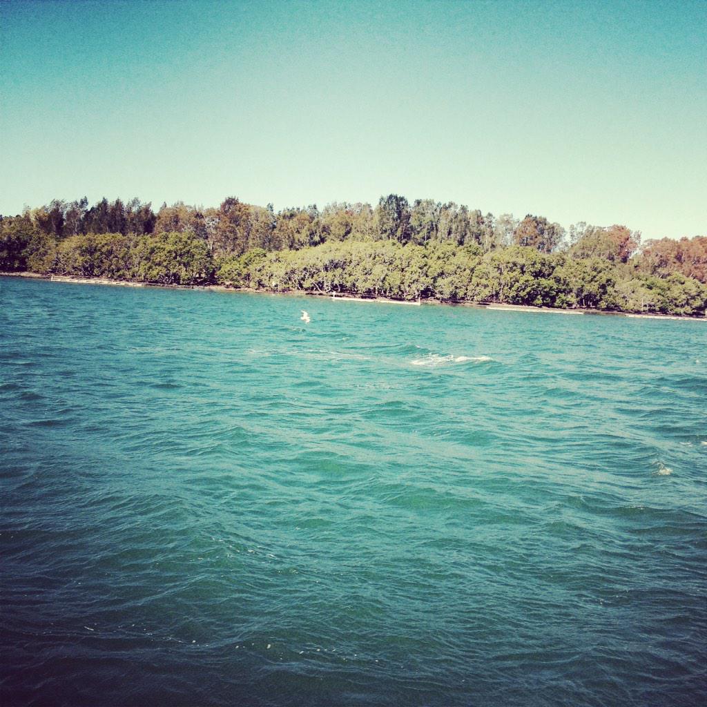 _jryan2's tweet image. A picture I took a few months ago #Picture