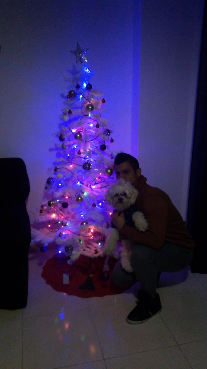 albika93's tweet photo. Segundas navidades contiiigo. Y primeras en nuestro pisito  @antoniet1991 http://t.co/G4x1KdE9QV