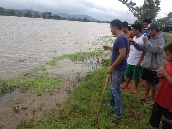 Embedded image permalink