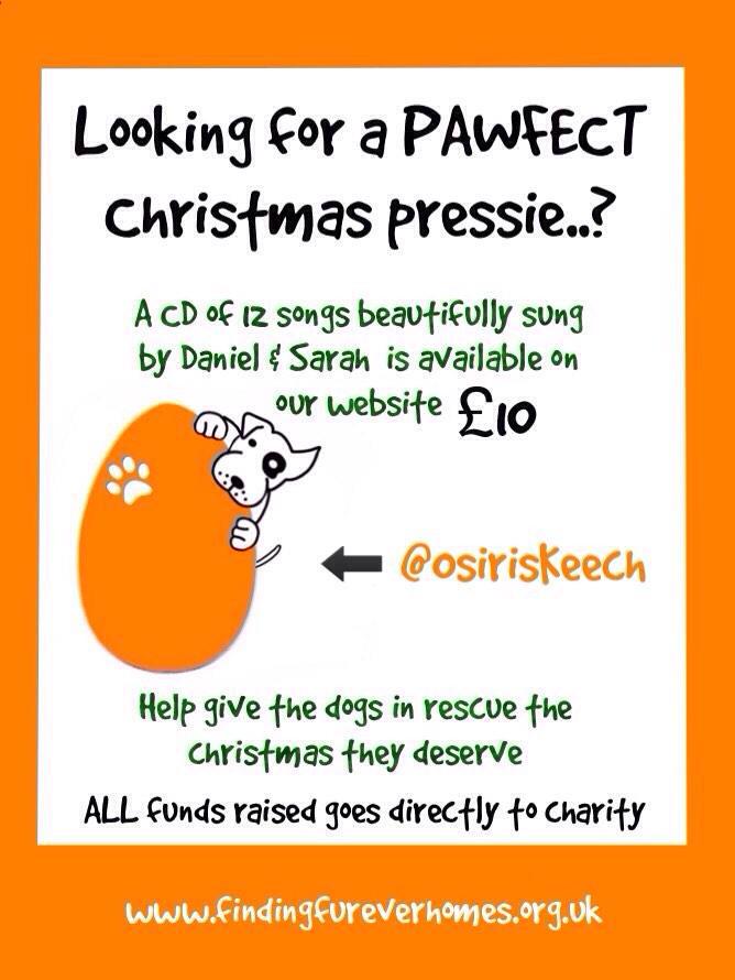 findingfureverhomes tweet media