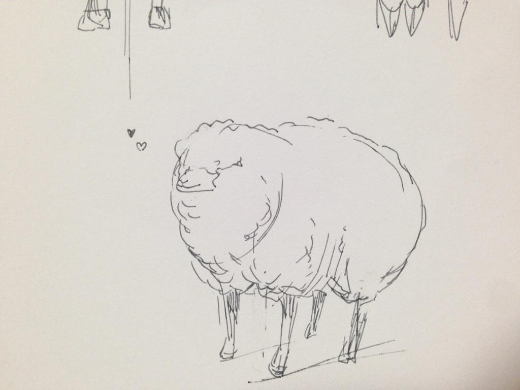 年賀状のために羊を練習 