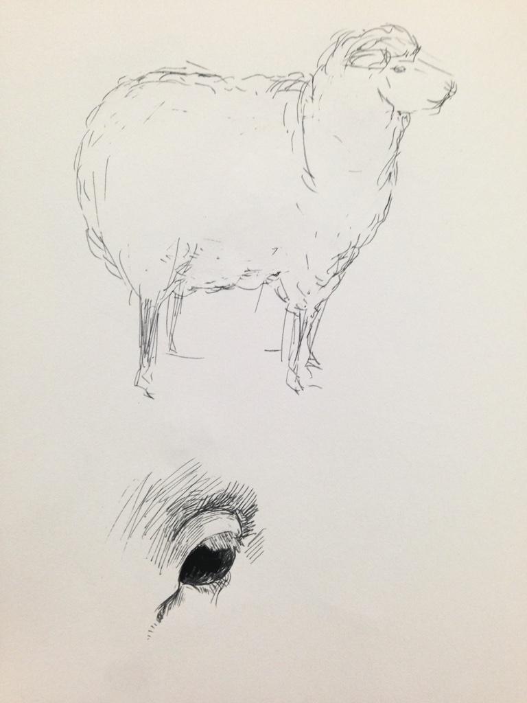 年賀状のために羊を練習 
