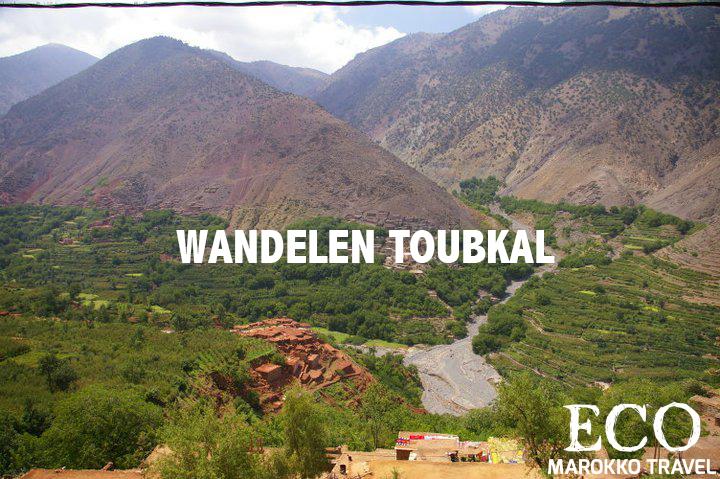 EcoMarokko's tweet photo. Wandelen door het prachtige natuur en de adembenemende uitzicht van de Toubkal http://t.co/J9I4kqbK2B