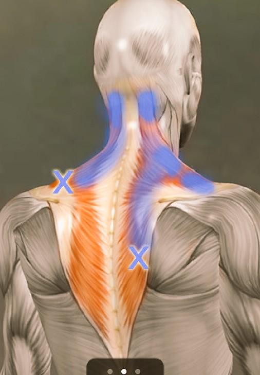 Jason O Brien, tweet media