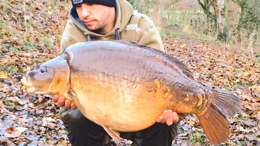 MattMoors11's tweet photo. Minter! White NS1 Pop Up over Live System. Size 6 Covert Wide Gape Talon Tip = #Nailed @GardnerTackle @ccmoore_baits http://t.co/qOoD1JQy4s