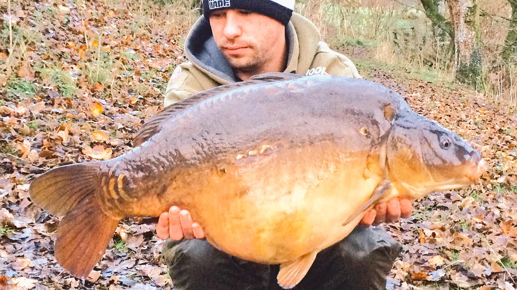 MattMoors11's tweet photo. Minter! White NS1 Pop Up over Live System. Size 6 Covert Wide Gape Talon Tip = #Nailed @GardnerTackle @ccmoore_baits http://t.co/qOoD1JQy4s