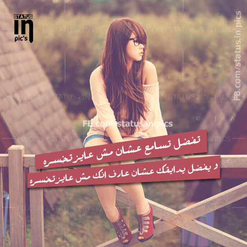 MaghrabyFans's tweet photo. Mohamed Maghraby New Album #قولي_واتمني http://t.co/dGDitL1uaH