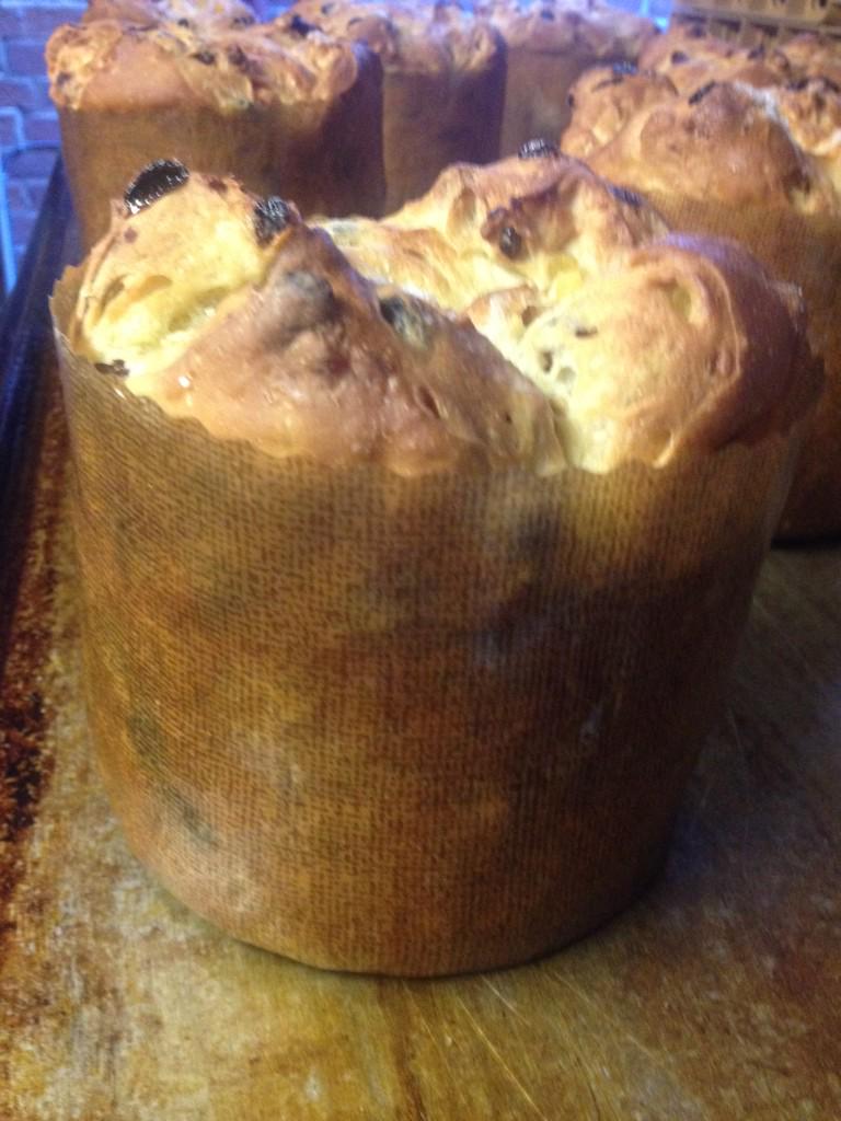 Daar zijn ze!! De panattone! Nu te verkrijgen in de winkels! En vanaf morgen bij <a href="/JumboHeerenveen/">Jumbo Heerenveen</a> #ambacht #smullen