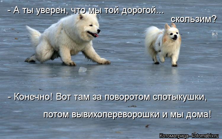 sotrudnik_mchs's tweet photo. Соблюдайте правила поведения на льду. Будьте осторожны!!!
#МЧС #спасатели #пожарные #ГИМС #лед #травма #ушиб #холод http://t.co/ClHm1xQgOp