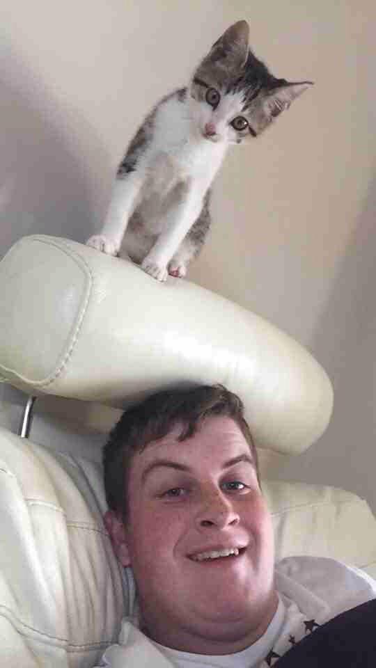 FatSamTagg's tweet photo. My new kitten xo http://t.co/lNtv6QmuXr
