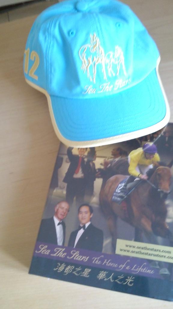 @seathestars Thank you for the present. I'll treasure it. #horseracing. #Gilltownstud