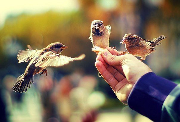 ЯНА ))) (@yyy_yyy03) on Twitter photo 
