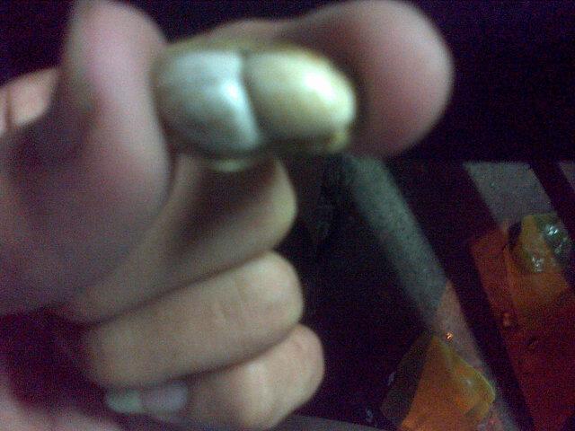 kecot_fams's tweet photo. Terkadang beda pendapat. http://t.co/lgolGO2zHx