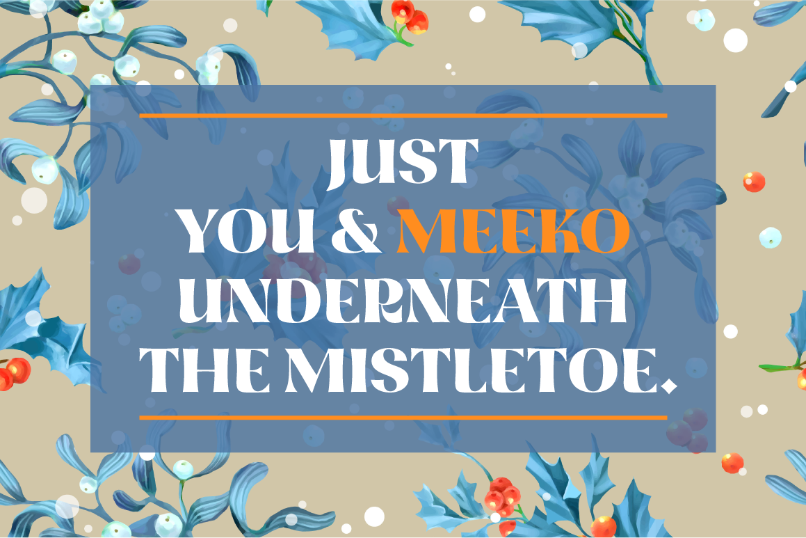 Fontyou's tweet photo. FREE Meeko FY TODAY! > http://t.co/Z7KC0ukQKB! #fontyou #typography #adventcalendar #christmastype #fontaclaus http://t.co/AJhDvZhILH