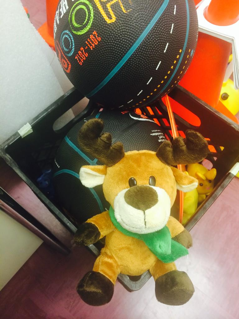 8carly_long8's tweet photo. @Rocky_Reindeer are you playing games again?? #rockycreekreindeergames #RCE_HCS http://t.co/LbtKEMm5xs
