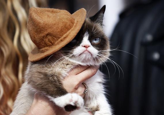 TheAtlantic's tweet image. Grumpy Cat is making millions as one of the internet's most famous (and grumpiest) felines theatln.tc/1ytLdAO