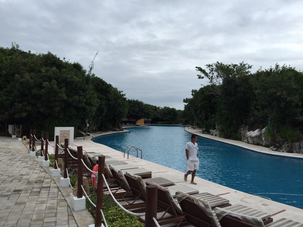 DeffleyR's tweet image. 