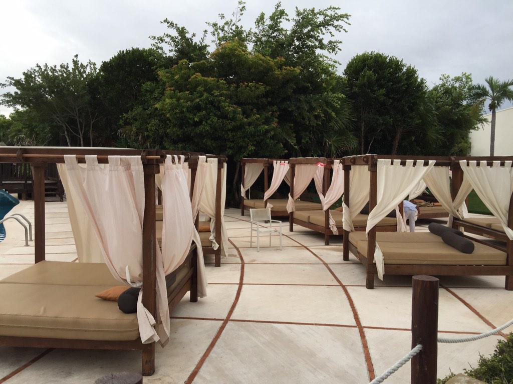 DeffleyR's tweet image. 