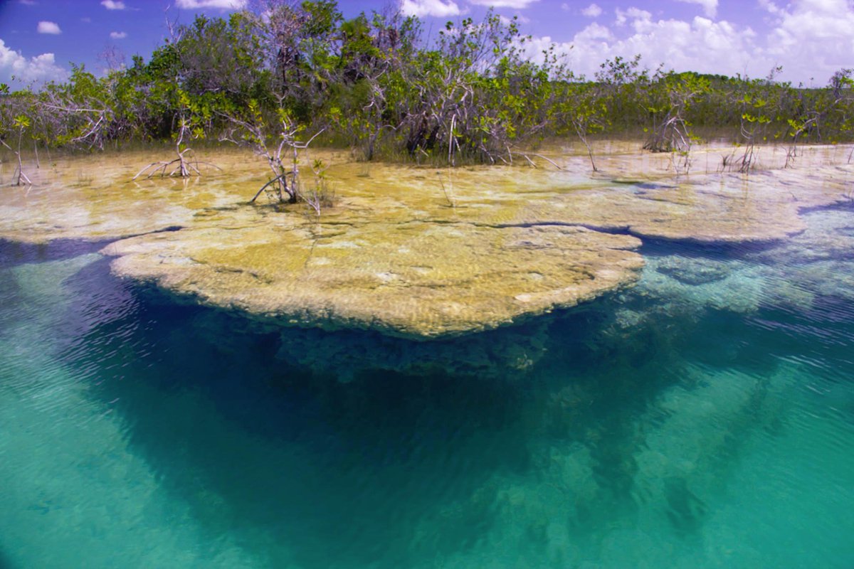 Turismo__OPB's tweet photo. #Xulha, la laguna de los estromatolitos #LiveItToBelieveIt http://t.co/UYEfuF6ki7