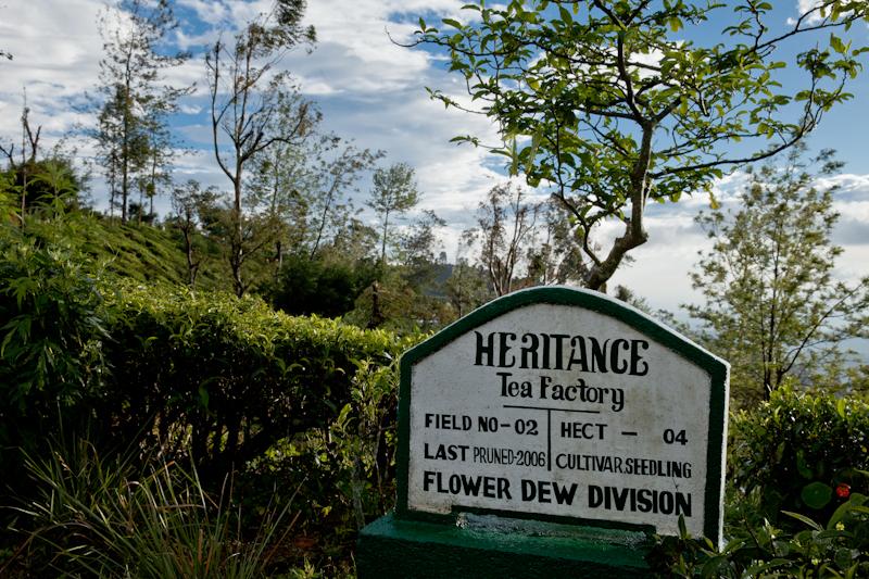 {A relire} : L'Heritance Tea factory, un hôtel insolite au coeur du royaume du thé buff.ly/1G5WmZm #Srilanka