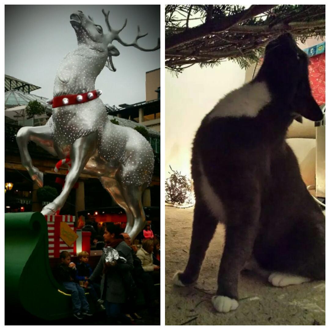 poppypurrington's tweet photo. Today I tried to be a reindeer!  😸 http://t.co/LrgLmOF7E7