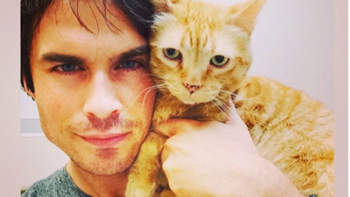 Happy birthday, Heres to hoping you take more adorable cat photos soon:  