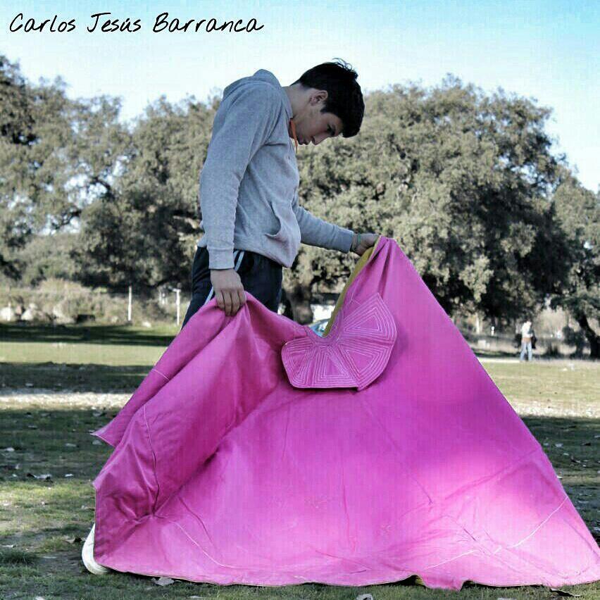 Seda en el sueño d las muñecas d un torero q sueña..arte en el capote, clase en el semblante, pureza en la mirada..