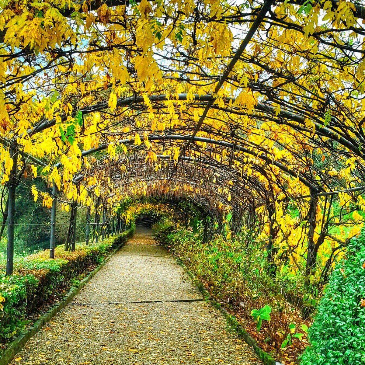 Floransa'da bulunan Boboli Bahçeleri'nde uzun ince bir yol. #boboligardens #giardinidiboboli
