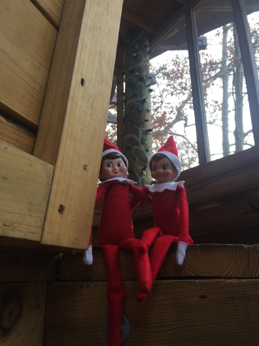 camptwinlakes's tweet photo. Our #CTLves, Summer and Walter, stole a golf cart and chilled out at the Treehouse at CTL-Rutledge over the weekend! http://t.co/i6kaotWDmn