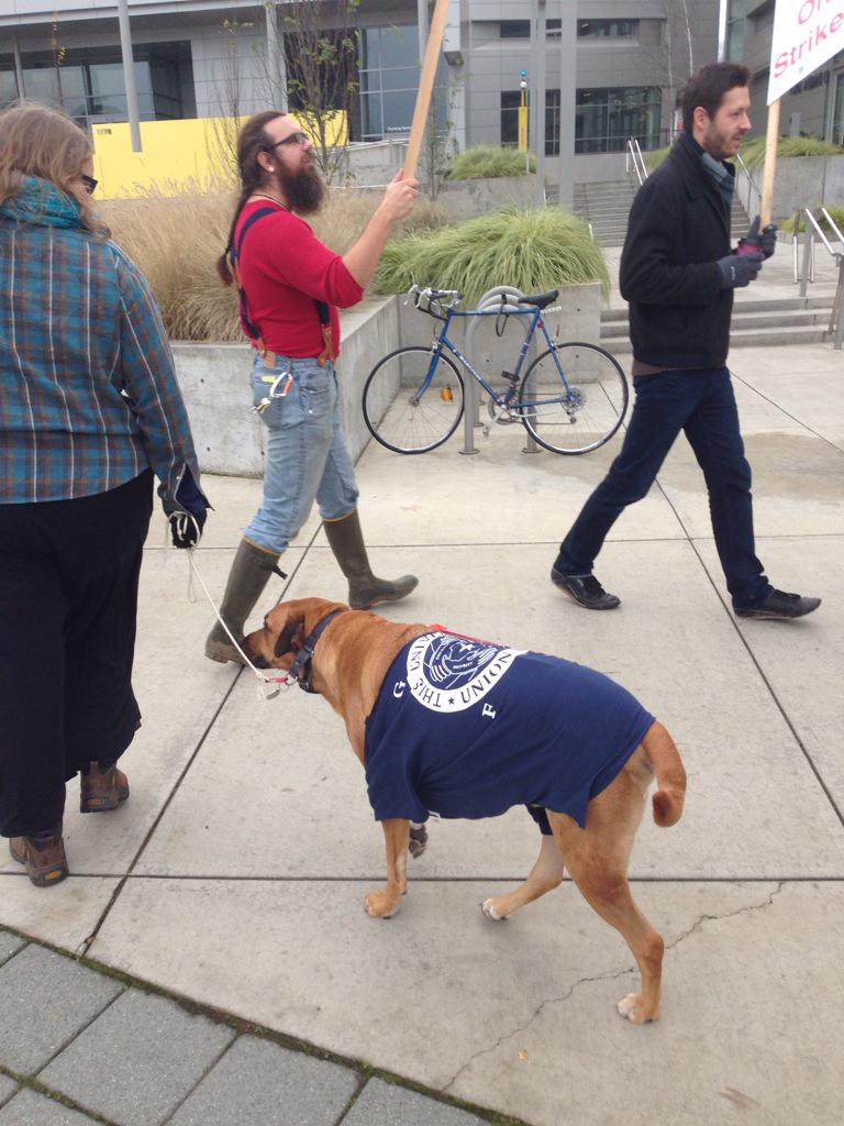 dpb983's tweet photo. #PupsOnStrike #GTFF3544 #UOstrikes http://t.co/BLV7AubV8B