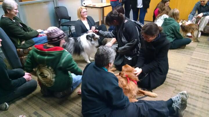 msulibraries's tweet photo. #PawsToPlay is in progress until 4pm at the MainLib and 3pm at the @MSUBizLib http://t.co/z27oe5Iebr