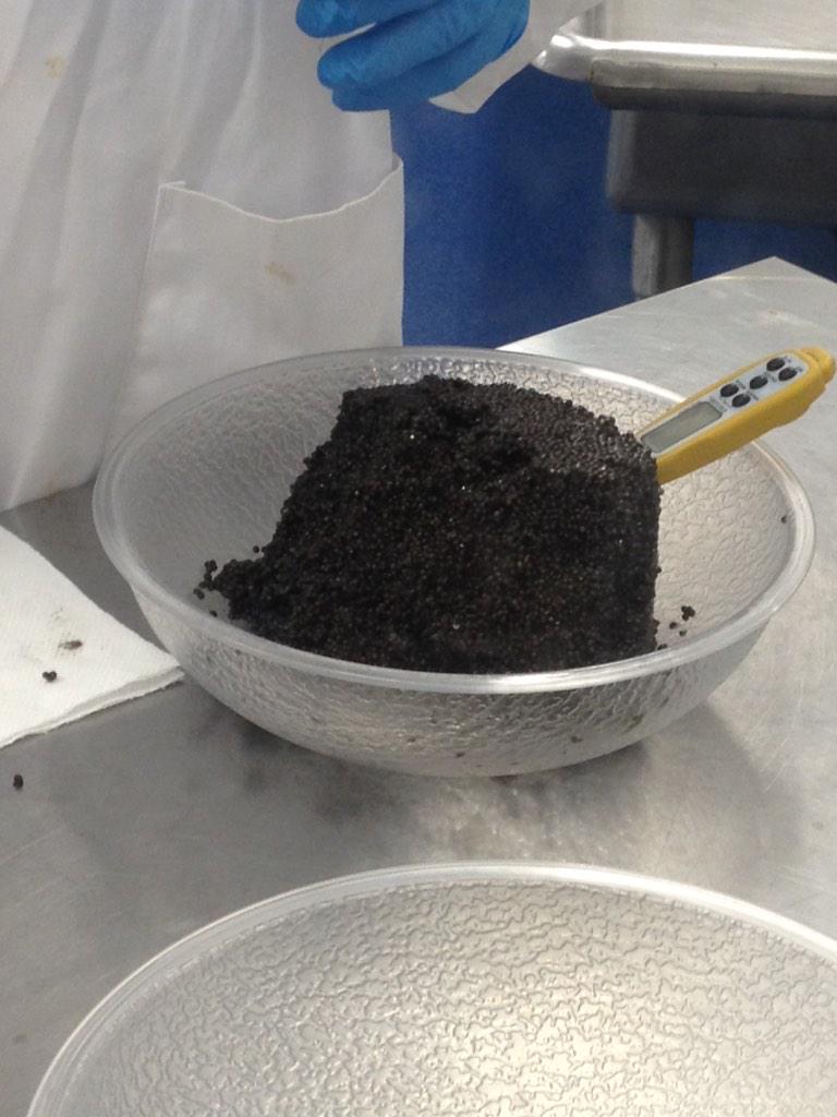 huntfishgrow's tweet photo. Caviar anyone. @CanadianCaviar @Pier_73 http://t.co/z45ouxoFVP