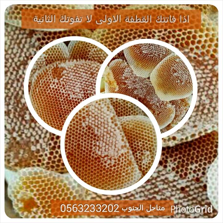 ManahelAljanoub's tweet photo. عسل مناحل الجنوب
#سدر_1436
احمد الغامدي 0563233202 http://t.co/1Cg9bHDiTV