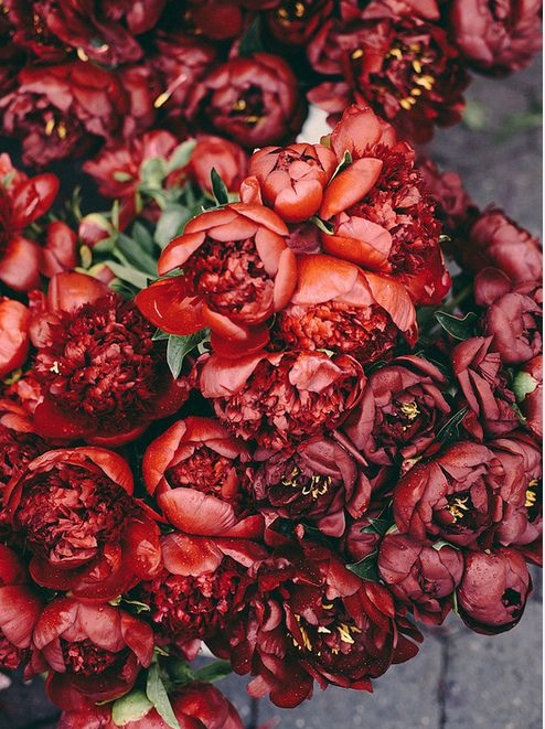 Flowerlink tweet media