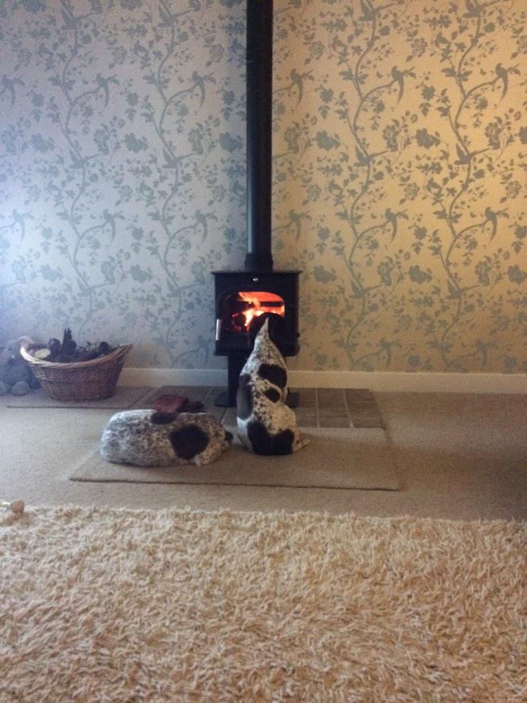 ImbadJanet's tweet photo. Got myself a good spot in front of the Fire tonight. Milly says I am blocking all the heat #miserableMilly http://t.co/nlfgfAKr02