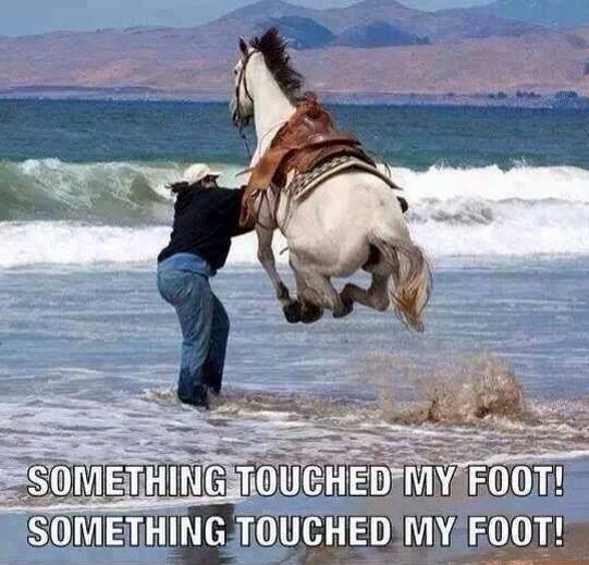 christmas2014_S's tweet photo. #funny ! http://t.co/EhGUs73d7r