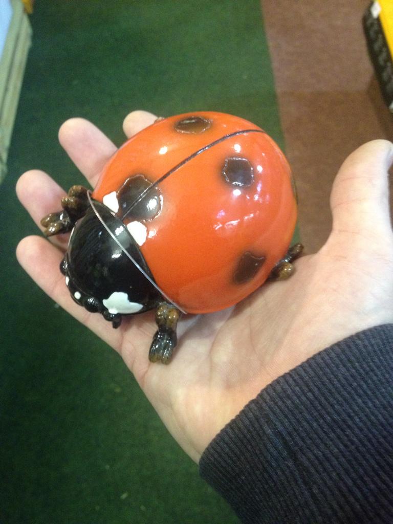 thestag0's tweet image. @Albi_SideArms there mutating just like you said !!! ;) #bugarmy