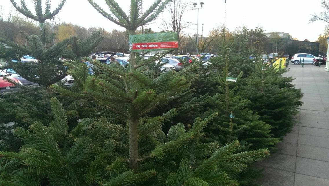 Don't forget we are selling at Morrisons across the NW, NE and Midlands treeamigos.org