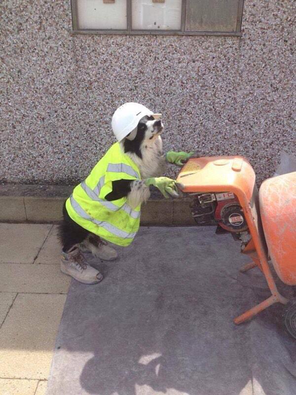 daftlaughs's tweet photo. Working hard on Mondays http://t.co/BzUOHjutXH