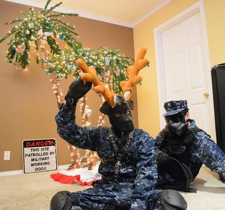 NoNamePup's tweet photo. If you'd like a Holiday card from us, e-mail your name, address, and twitter/furry name to Rendition@mhwap.org ! ^_^ http://t.co/m8e1CO15Fd