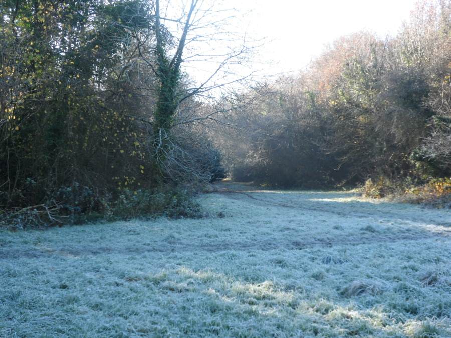 SurreyPic's tweet photo. RT @SurreyLife RT @RichmondRambler Heavy frost on the heath at Tadworth last Saturday. A beautiful day for walking. http://t.co/9pBlXnIbUx