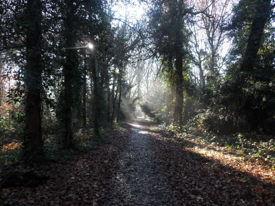 SurreyPic's tweet photo. RT @SurreyLife RT @RichmondRambler Heavy frost on the heath at Tadworth last Saturday. A beautiful day for walking. http://t.co/9pBlXnIbUx
