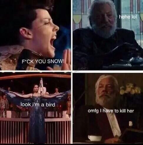 Hunger games en une photo